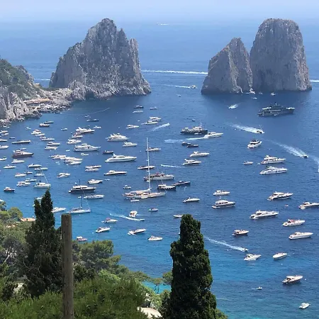 게스트하우스 Olga Luxury