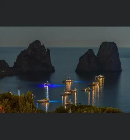 Olga Luxury 2*