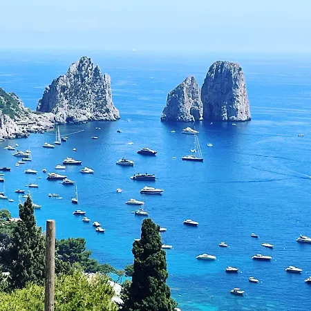 Olga Luxury Πανσιόν