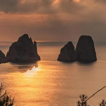 Πανσιόν Olga Luxury