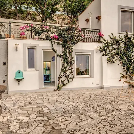 Πανσιόν Olga Luxury 2*