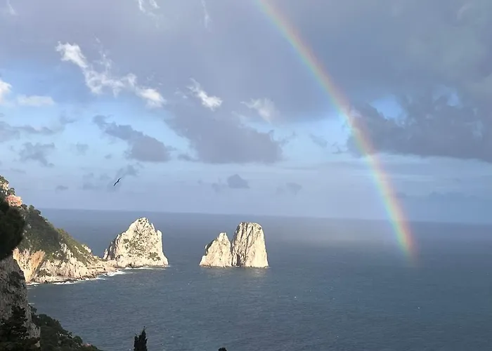 בית הארחה Olga Luxury