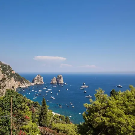 Olga Luxury Pensión